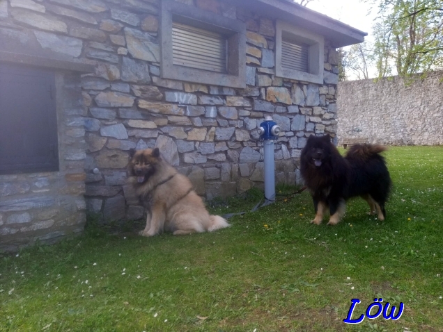 19.4.2025 - Hochspeicher